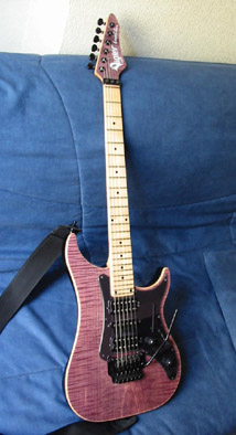 Vigier Excalibur